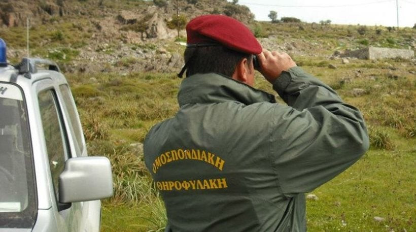 Μητέρα λαθροθήρα επιτέθηκε με ψαλίδι σε πρόεδρο Κυνηγετικής Ομοσπονδίας!